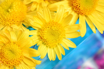 かわいい花、黄色、青い瓶