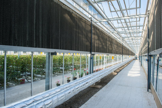 glass roof interior with pipes and walls in modern greenhouse, photo in length