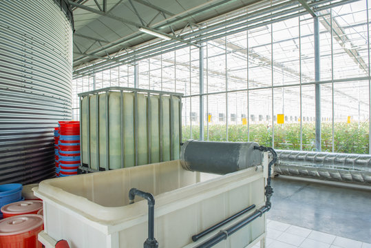 interior and equipment with pipelines and water tank in modern greenhouse