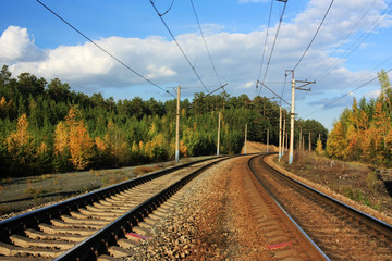 Obraz na płótnie Canvas Railway in the forest