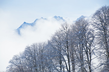 natural landscape mountains