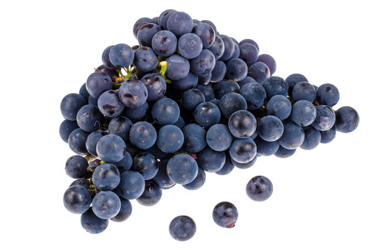 Bunch of blue grapes isolated on white background