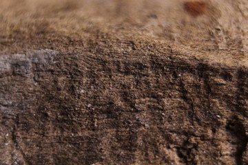 Macro brown wood background