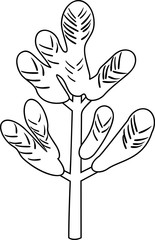 Obraz premium Coloring page. Seedling of pine-tree