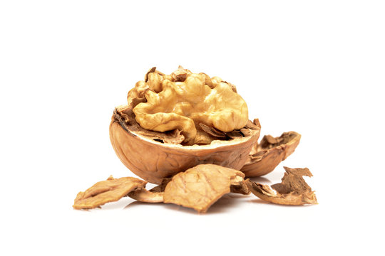 Broken walnut, close up macro, isolated on a white background.