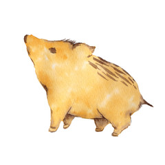 猪のこども　水彩イラスト