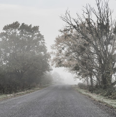 Road to the fog