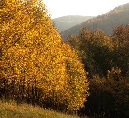 Fototapeta premium Autumn in the mountains