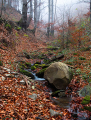 Big boulder in the stream