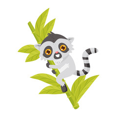 Cute smiling lemur on bamboo three. Exotic animal with long striped tail and big shiny eyes. Flat vector icon