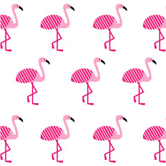 Pink flamingo flat set. Cute flamingos collection. Flamingo animal exotic, nature wild fauna vector illustration.