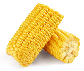 Corn on the cob kernels