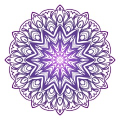 Modern Decorative Cicle Shapes. Floral mandala. vector illustration