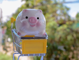 piggy save money