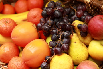 Panier de fruits de saison bio