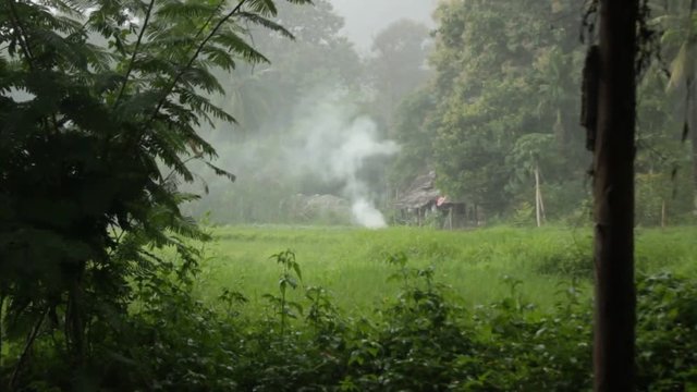 handheld footage of a small campfire extinguished by a tropical rain storm in Northern Thailand, Mae Hong Son, during rainy season
