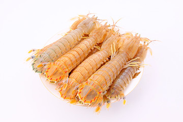 Fresh mantis shrimp on a white background