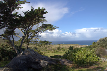 Aussicht am Cape Point