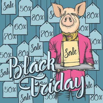 Vector illustration of pig on Black Friday