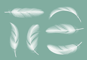 Feathers collection. Flying furry of goose vector realistic pictures isolated on transparent background. Feather of bird, quill or plume illustration © ONYXprj