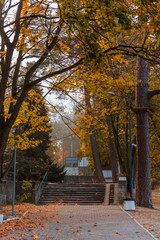 Jesienny Szczecin