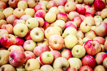 many fresh raw red apples as background