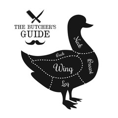 Poultry, duck meat cut lines diagram graphic poster, guide for b