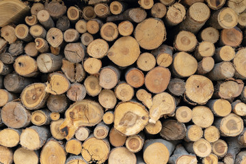 View Of Firewood Stacked