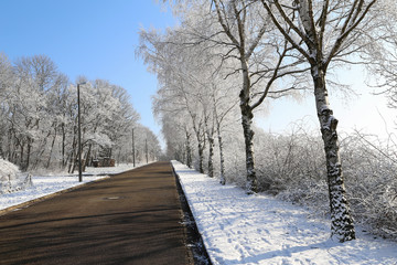 Winter landscape. Winter road among the trees.