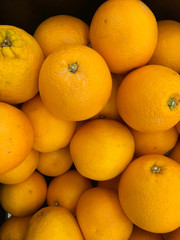 closeup group of orange in at the market