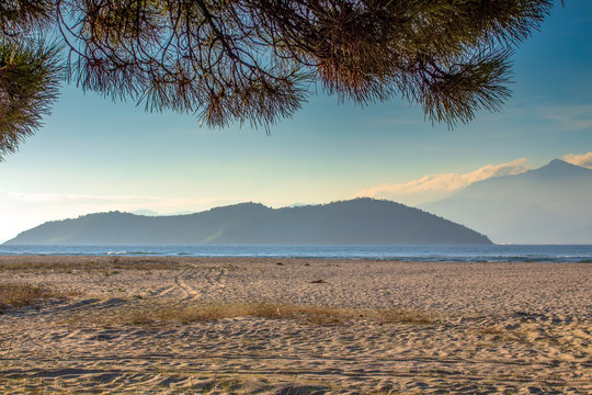 View through cedar branches to the beautiful Keramoti beach in the Aegean Sea against the backdrop of Thassos, Greece.