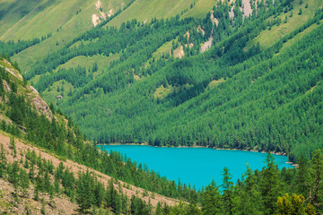 Wonderful mountain lake in valley of highlands. Smooth clean azure water surface. Giant mountainside with rich vegetation. Amazing coniferous forest. Atmospheric green landscape of majestic nature.