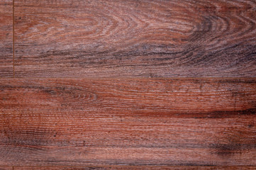 Wood texture. Wood texture for design and decoration