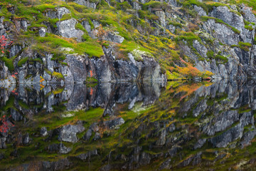 Fototapeta na wymiar In the fall, a rock covered with moss and plants is reflected in the calm water of the lake.