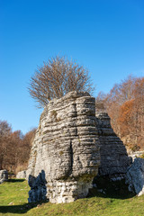 Obraz premium Limestone Monoliths - Karst Erosion Formations Lessinia Italy