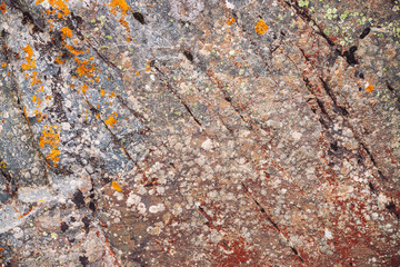 Plane of multicolored boulder in macro. Beautiful rock surface close up. Colorful textured stone. Amazing detailed background of highlands boulder with mosses and lichens. Natural texture of mountain.