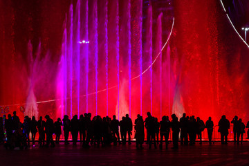 crowd at the concert
