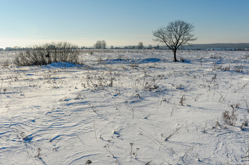 winter landscape with frozen trees and blue sky