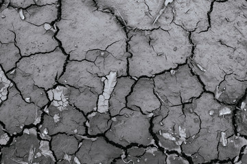 Cracks of the dried soil in arid season Monochrome