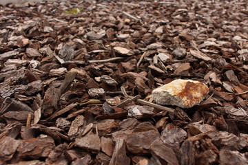 Piedra