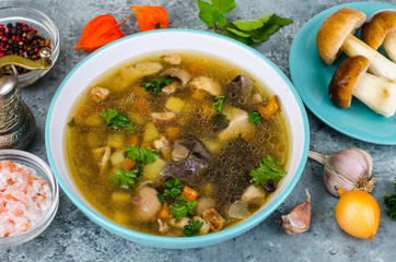 Soup made from wild mushrooms