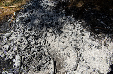 ash, cinders of outdoor fireplace in woods, left behind after picnics in nature, close up 