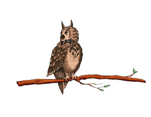 Naklejka premium Owl at night sit on a tree branch. Vector illustration with a bird in cartoon style.