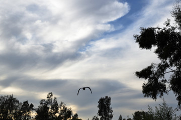 Parque de la Amistad