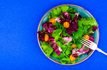 Layout for World Vegetarian Day