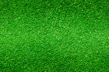 Natural background of green grass