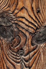 Old rich wood texture background with knots. Wood wall for design and text, texture for designer.