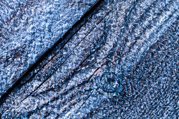 Hoarfrost on tree trunk surface. Winter morning dew and freezing.