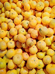 Golden oranges vol.3