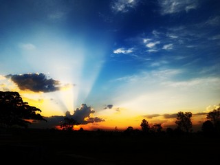 sunset over field